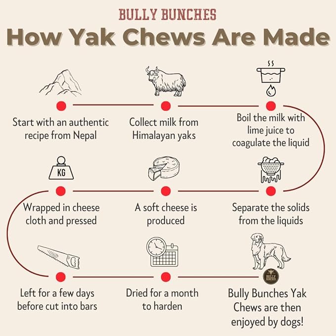 Bully Bunches Medium Authentic Yak Cheese Himalayan Chews for Medium & Small Dogs - All Natural Dog Treat Dental Chews, Made with Real Yak Milk - Lactose & Rawhide Free (6 Pk)