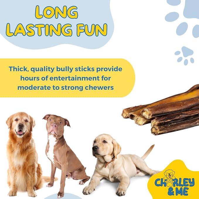 CHARLEY & ME Premium Bully Sticks for Dogs - 100% Natural Beef Dog Treats, Long-Lasting Dog Chew for Aggressive Chewers, Nutritious Joint Support for Dogs 6 Inches (Pack of 12)