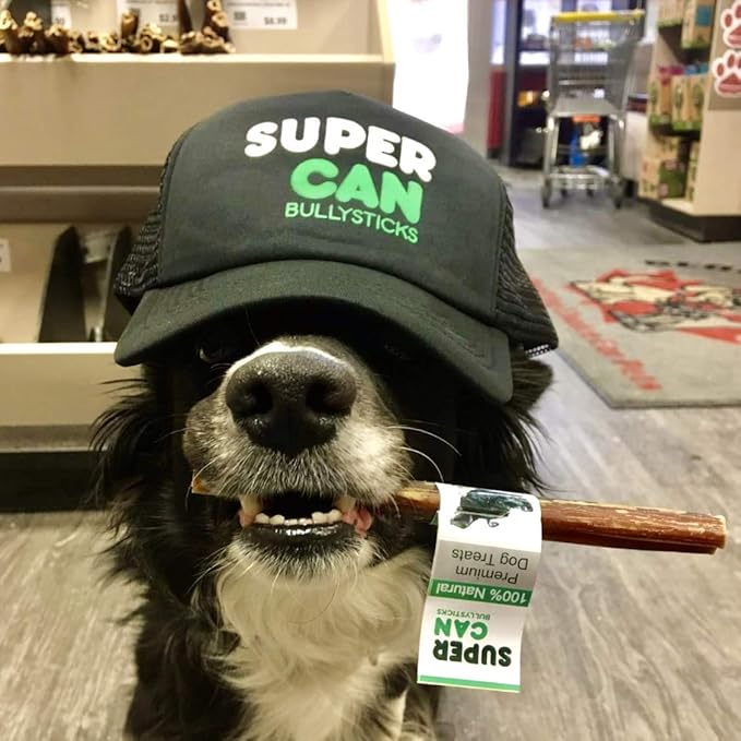 SUPER CAN BULLYSTICKS 6” Gullet Sticks (25 count) - 100% Natural Beef Esophagus Dog Jerky Treats for Small-Medium Dogs Easily Digestible Dog Chews