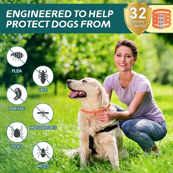 4 Pack Flea Collar for Dogs, Natural Flea and Tick Collar for Dogs, 8 Months Flea and Tick Prevention for Dogs, Tick Collar for Dogs, Water Resistant Dog Flea Collar, One Size Fits All, Orange