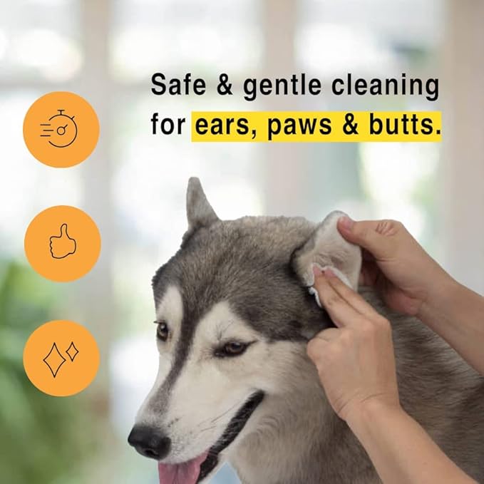 Urine Gone Pet Ears, Paws & Butt Cleaning & Moisturizing Wipes for Dogs & Cats - 70 Thick Grooming Wipes
