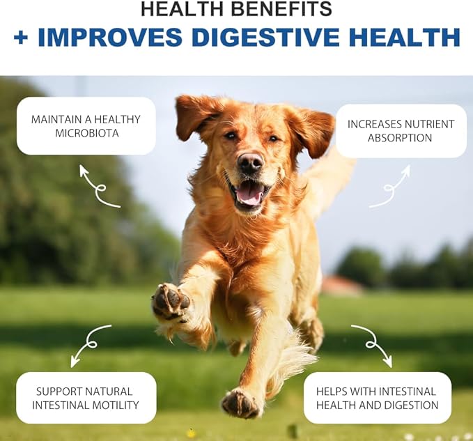 Probiotics for Dogs - Digestive Enzymes for Gut Flora, Digestive Health, Diarrhea & Bowel Support - Dog Supplement Soft Chew for Pet Immune System - Clinically Studied DE111 - Duck Flavor