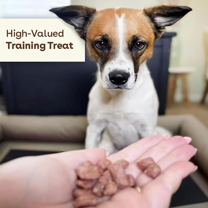 Pupford Freeze Dried Training Treats for Dogs & Puppies, 475+ Two Ingredient Bites (Chicken, 4 oz)