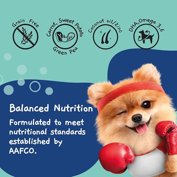 MOOCHIE Grain Free Wet Dog Food for Small Breed - Weight Control - Turkey with Sweet Potato, Pumpkin and Green Pea - No Added Preservatives or Artificial Flavoring - 3 oz x 12 Pouches