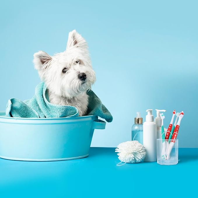 2 PCS Dog Toothbrush, Double Headed Pet Toothbrush with Soft Bristles, Easy Teeth Cleaning, Dog Dental Care for Puppies, Cats and Small Pets, Toothbrush in Bulk Individual Polybag (Mix)