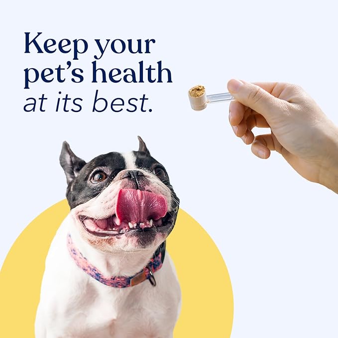 Honest Paws Dog Digestive and Immunity Booster – Turkey Tail Mushroom Blend - Shiitake, Reishi, Maitake Mushroom Extract Formula - No Filler, No Additives - (1.05 oz)