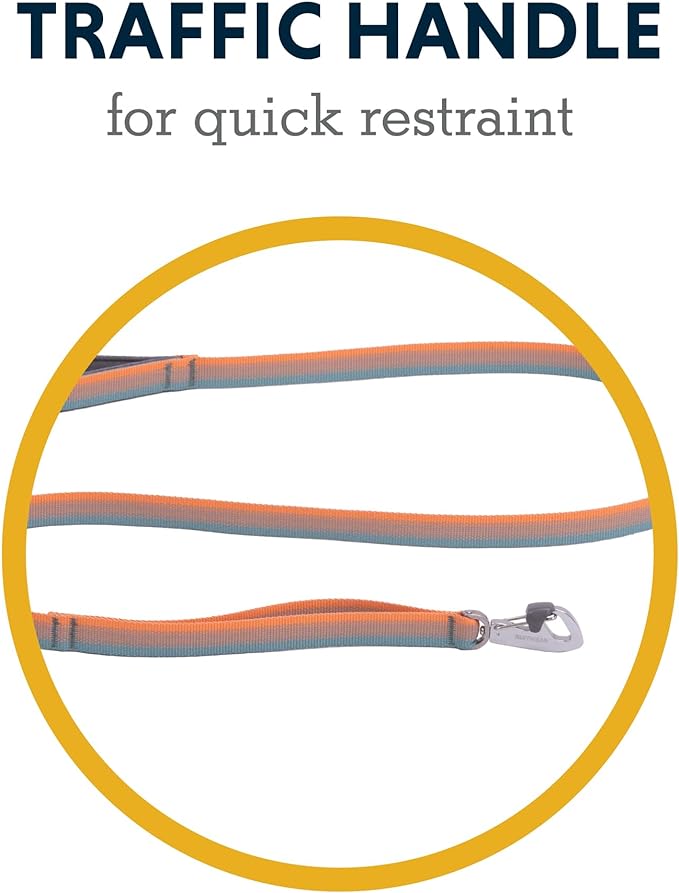 Ruffwear, Front Range Dog Leash, 5 ft Lead with Padded Handle for Everyday Walking, Spring Fade