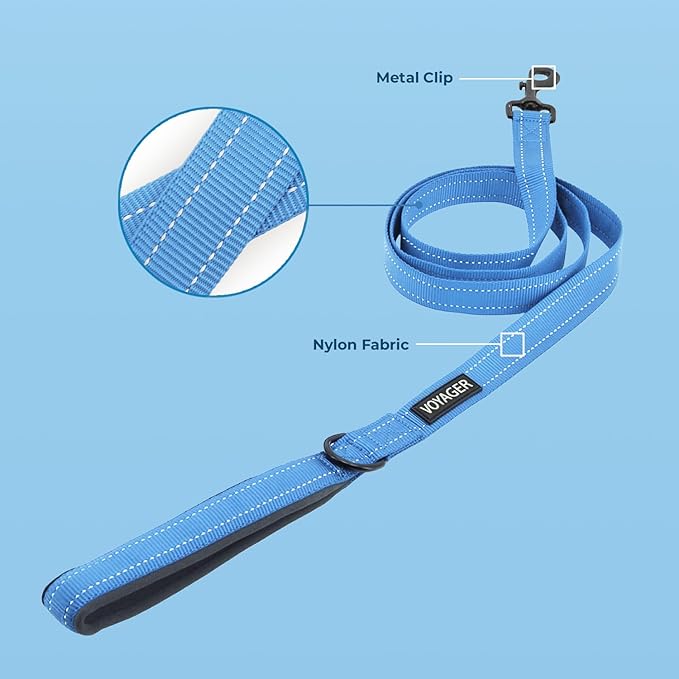 Voyager Reflective Dog Leash Collar Set with Neoprene Handle Supports Small, Medium, and Large Breed Puppies, Cute and Heavy Duty for Walking, Running, and Training - Baby Blue, M
