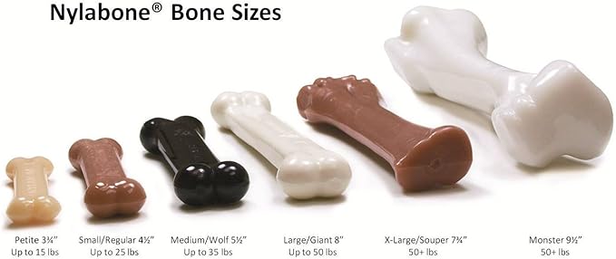 Nylabone (5 Pack) FlexiChew Chicken Flavored Bone Dog Chew Toys - Size Regular