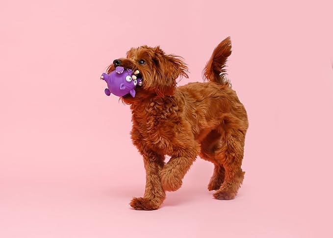 Hartz Dura Play Zoo Balloons Squeak Dog Toy, Multiple Pack Sizes 3 Count