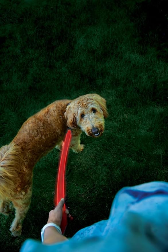 Nite Ize NiteDog Rechargeable LED Leash - Rechargeable LED Light Dog Leash with Padded Handle - Dog Walking Accessories for Walking & Running - 5 Feet, Red