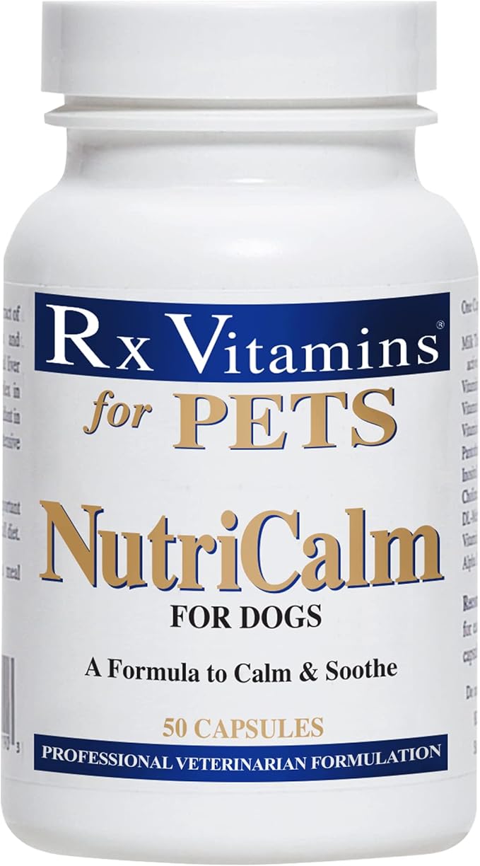 Rx Vitamins NutriCalm Dog Anxiety Relief - Dog Separation Anxiety Supplement - Calming Aid for Dogs - Keep Dog Calm for Vet, Thunder, & Travel - 50 ct