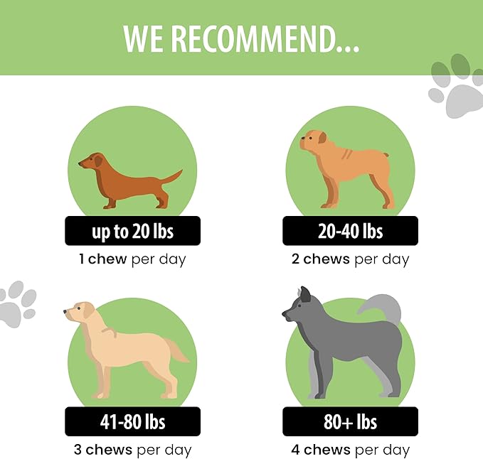 DOG for DOG Probiotics for Dogs - Digestive Enzymes for Dogs Support Gut Health | Probiotic & Prebiotic Chews Treat Diarrhea, Itchy Skin & Improves Gut Health | Made in The USA | 90 Bacon Flavor Chews
