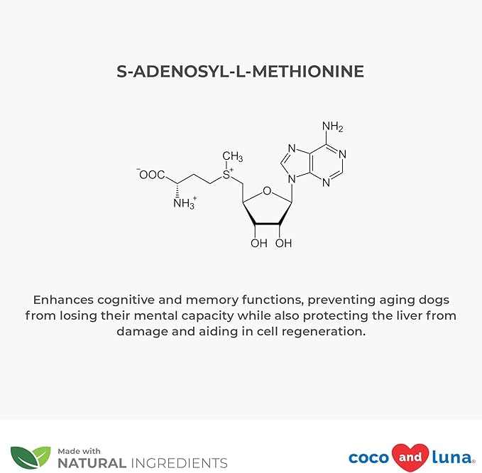 SAMe for Dogs - S-Adenosyl-L-Methionine, Liver Supplements for Dogs - Brain Supplement for Dogs, Promotes Cognitive Support, Liver Support Supplement