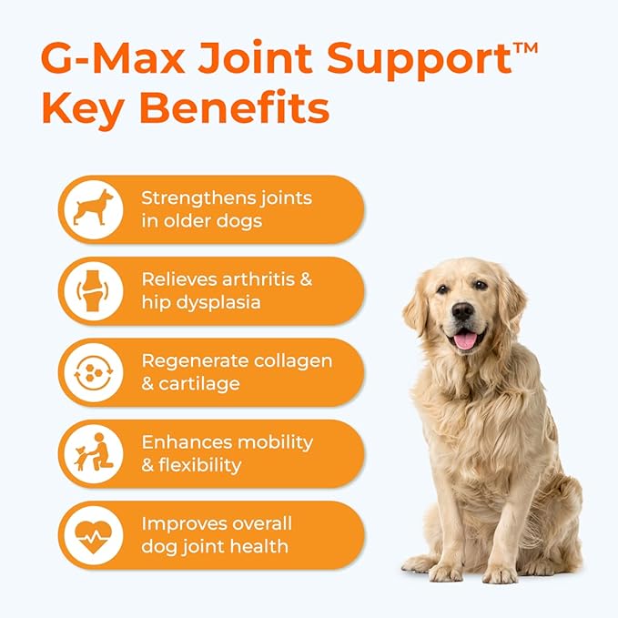 G-Max Joint Support - Maximum Strength Hip & Joint Supplement - Vet Formulated for Dog Arthritis Pain - Glucosamine, Chondroitin, MSM & Green-Lipped Mussel - Duck Flavor - 60 Soft Chews