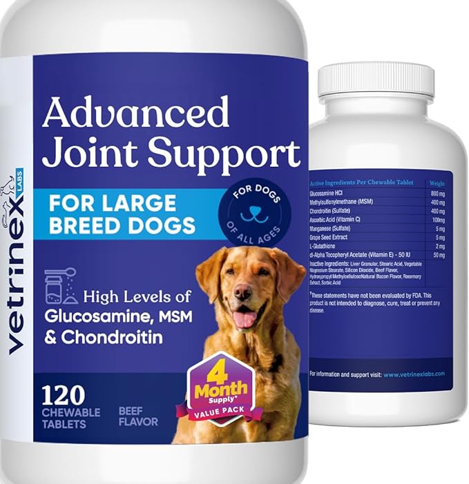 Joint Support Supplement for Large Dogs - Hip and Joint Chewable Tablets for Large Breed Dogs with Glucosamine, Chondroitin, and MSM, Beef Flavor, 120 Tablets