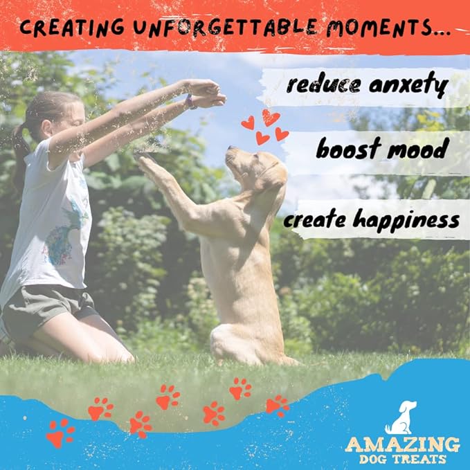 Amazing Dog Treats - Bully Sticks for Small Dogs (3-4 Inch - 16 oz)- Premium Thin Steer Bully Sticks for Dogs - Best Bully Stick Dog Chews - Bully Bones for Puppies and Small Breeds