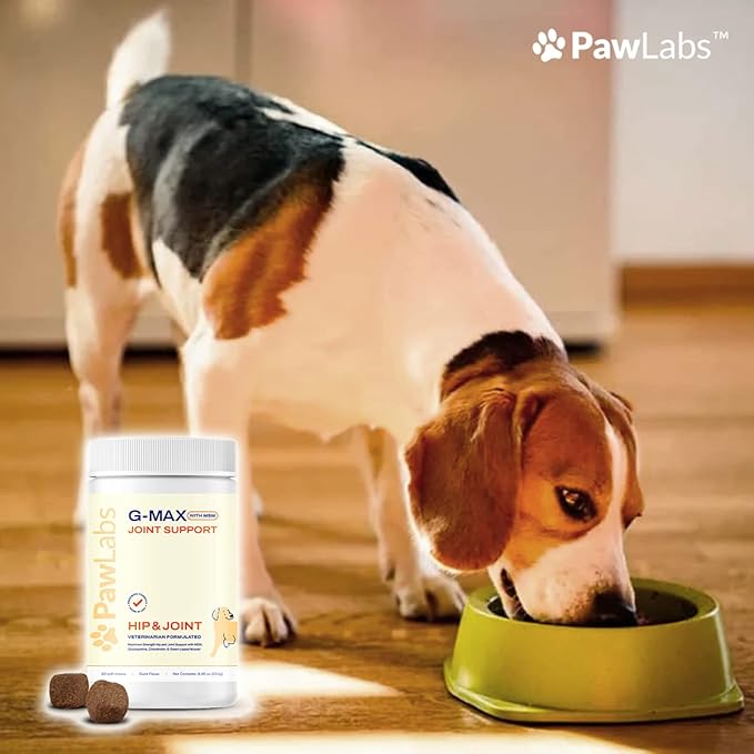 G-Max Joint Support - Maximum Strength Hip & Joint Supplement - Vet Formulated for Dog Arthritis Pain - Glucosamine, Chondroitin, MSM & Green-Lipped Mussel - Duck Flavor - 60 Soft Chews