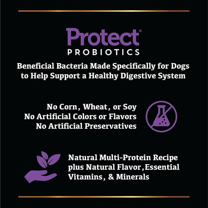 Field Master Grain-Free Salmon & Sweet Potato Recipe Dry Dog Food, 30-lb Bag