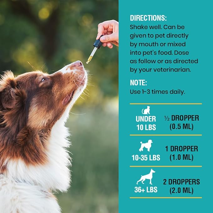 Allergy & Immune with Elderberry, Allergy Relief for Cats and Dogs, Anti Itch Treatment, Relief for Pet Allergies, Immune Support for Cat or Dog, 2 oz