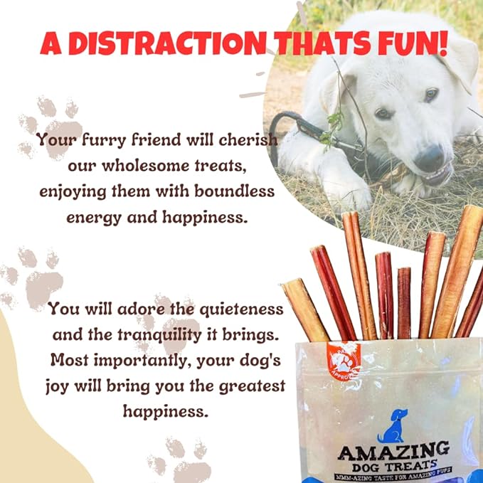 Amazing Dog Treats - Bully Sticks 6 Inch Regular Size (5 Pcs/Pack) - Premium Bully Stick Dog Chews - Long Lasting Bully Sticks for Dogs - Best Bully Stick Dog Bone - No Hide Dog Chew…