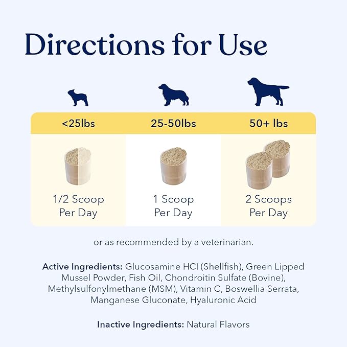 Honest Paws Mobility Bone and Joint Supplement for Dogs - Enhance Bone Health Lubricate Joints - Green Lipped Mussel, Glucosamine, Fish Oil, Chondroitin Sulfate, MSM, Vitamin C with Natural Flavors