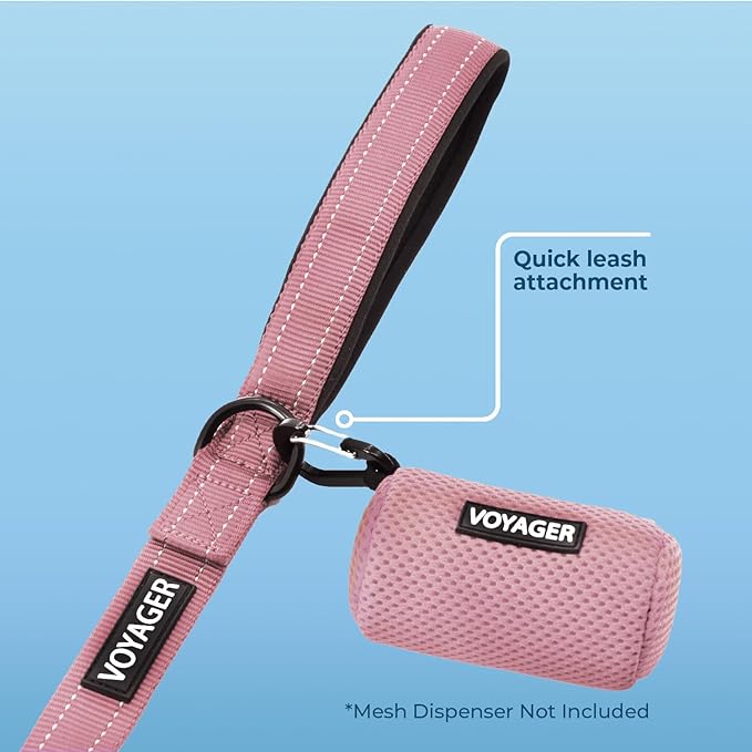 Voyager Reflective Dog Leash with Neoprene Handle, 5ft Long, Supports Small, Medium, and Large Breed Puppies, Cute and Heavy Duty for Walking, Running, and Training - Pink (Leash), S