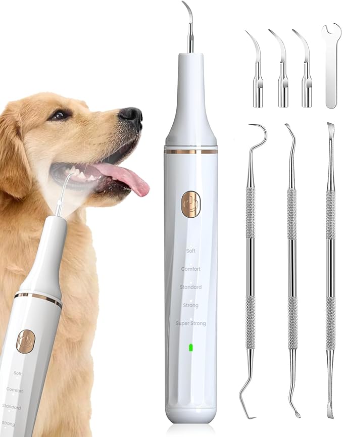 Hansaplast Plaque Remover for Teeth, Dog Teeth Cleaning, Dental Tools to Remove Tartar and Stains, Safe for Dogs & Cats, with Led Light & 5 Adjustable Modes (A-White)