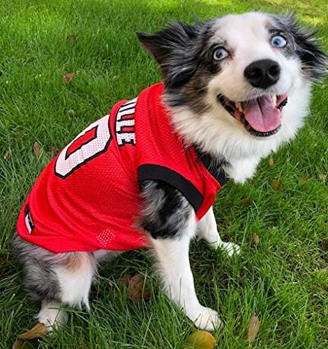 Pets First Louisville Basketball Jersey, X-Small