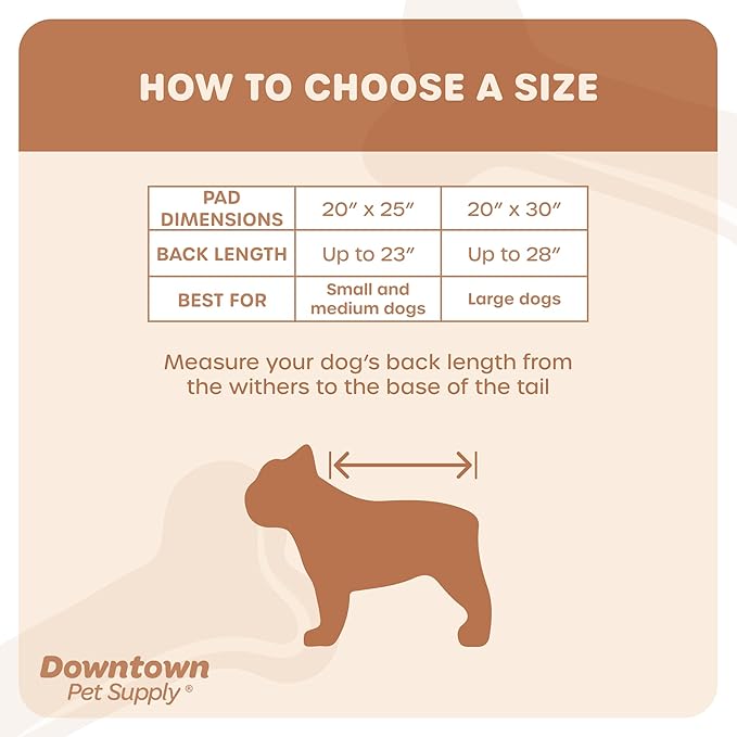 Downtown Pet Supply Dog Grass Pad with Tray, 20 x 30 w/Drawer - Outdoor and Indoor Potty System for Dogs with Replaceable Synthetic Grass Pee Turf - Portable and Waterproof Turf Dog Potty