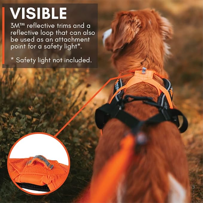 Non-stop dogwear Freemotion harness 5.0 Dog Pulling Harness for Sports like Running, Biking and Skiing with Dogs, Professional Adjustable Dog Harness, Blue/Gray, Size 7