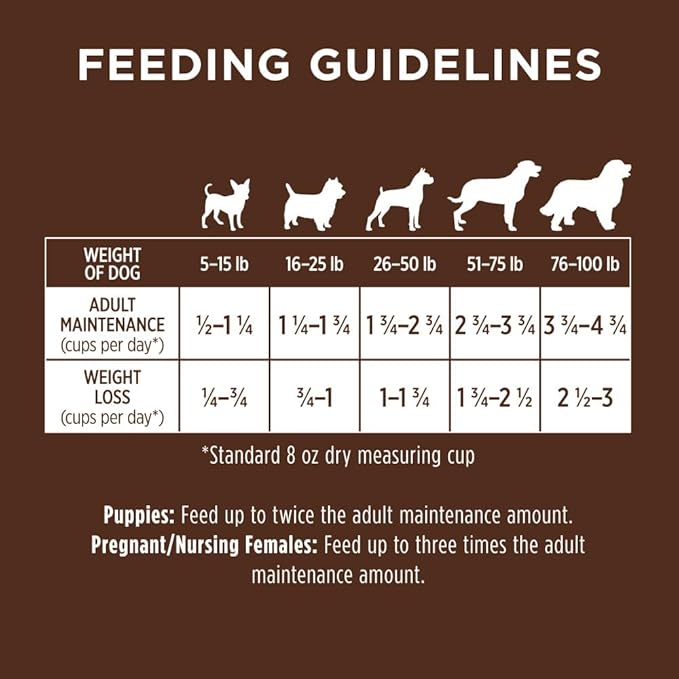 Real Chicken & Brown Rice Recipe Natural Dry Dog Food, 25 lb. Bag