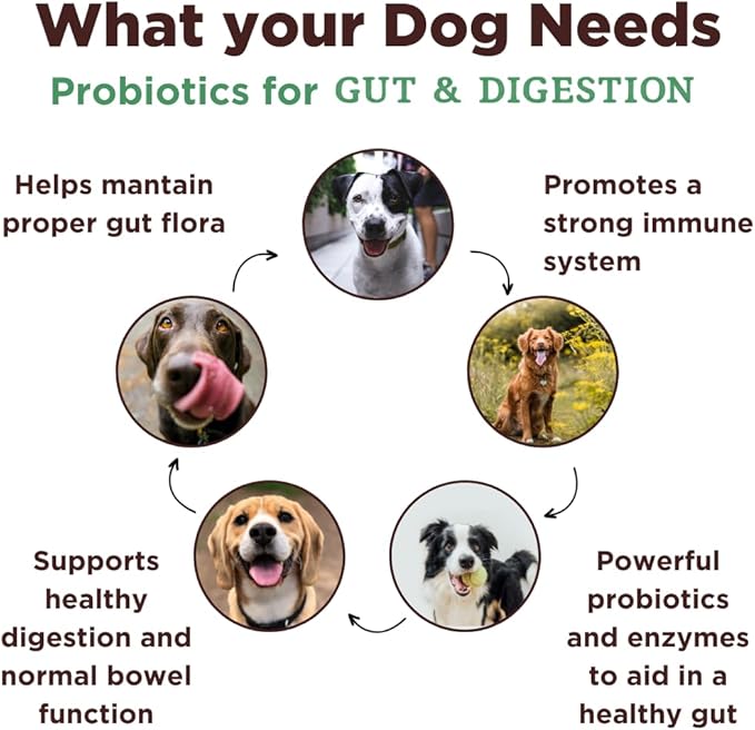 Mission-Proven Globally in Our Counterterrorism Work - Ultimate Probiotic Dog Chews-3X Number of Chews-Advanced Digestive Formula