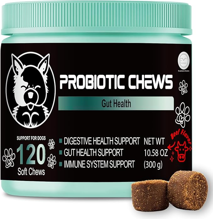 Probiotics for dogs - Probiotic chews for dogs - gut health for dogs - probiotico para perro - digestive enzymes for dogs - dog probiotics - dog health supplies - dog gut health