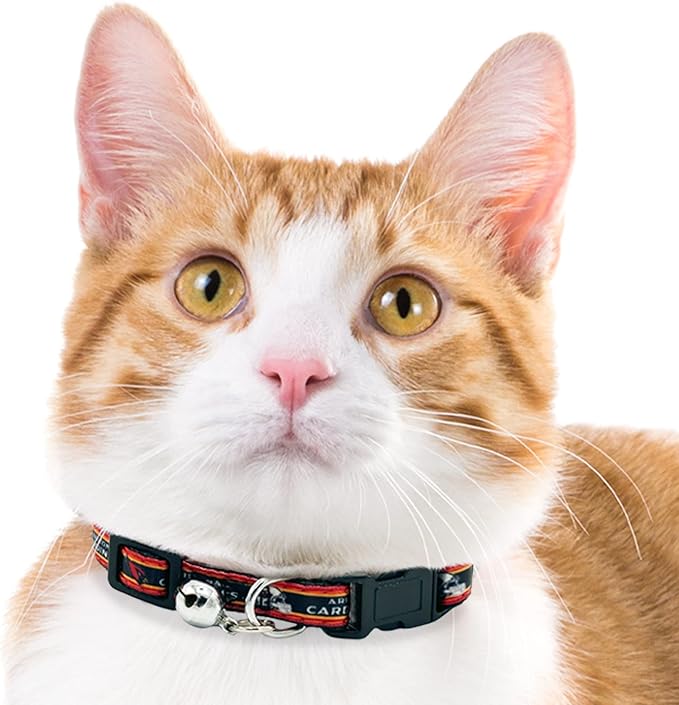 NFL CAT Collar Arizona Cardinals Satin Cat Collar Football Team Collar for Dogs & Cats. A Shiny & Colorful Cat Collar with Ringing Bell Pendant