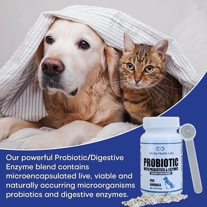 Probiotics for Dogs and Cats - Vet Formulated Pet Prebiotic & Enzyme Powder for Digestive, Gut & Immune Health - 160 Servings