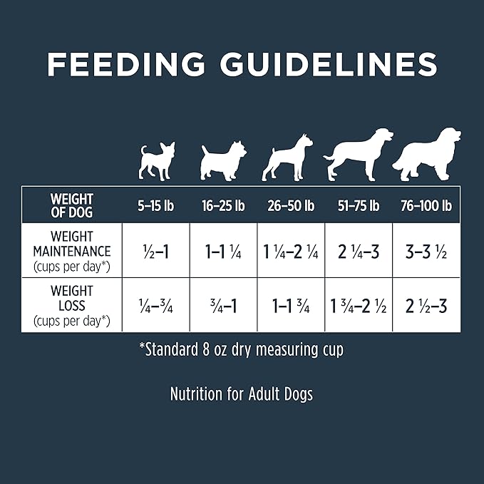 Instinct Raw Boost Healthy Weight Grain Free Recipe with Real Chicken Natural Dry Dog Food, 4 lb. Bag