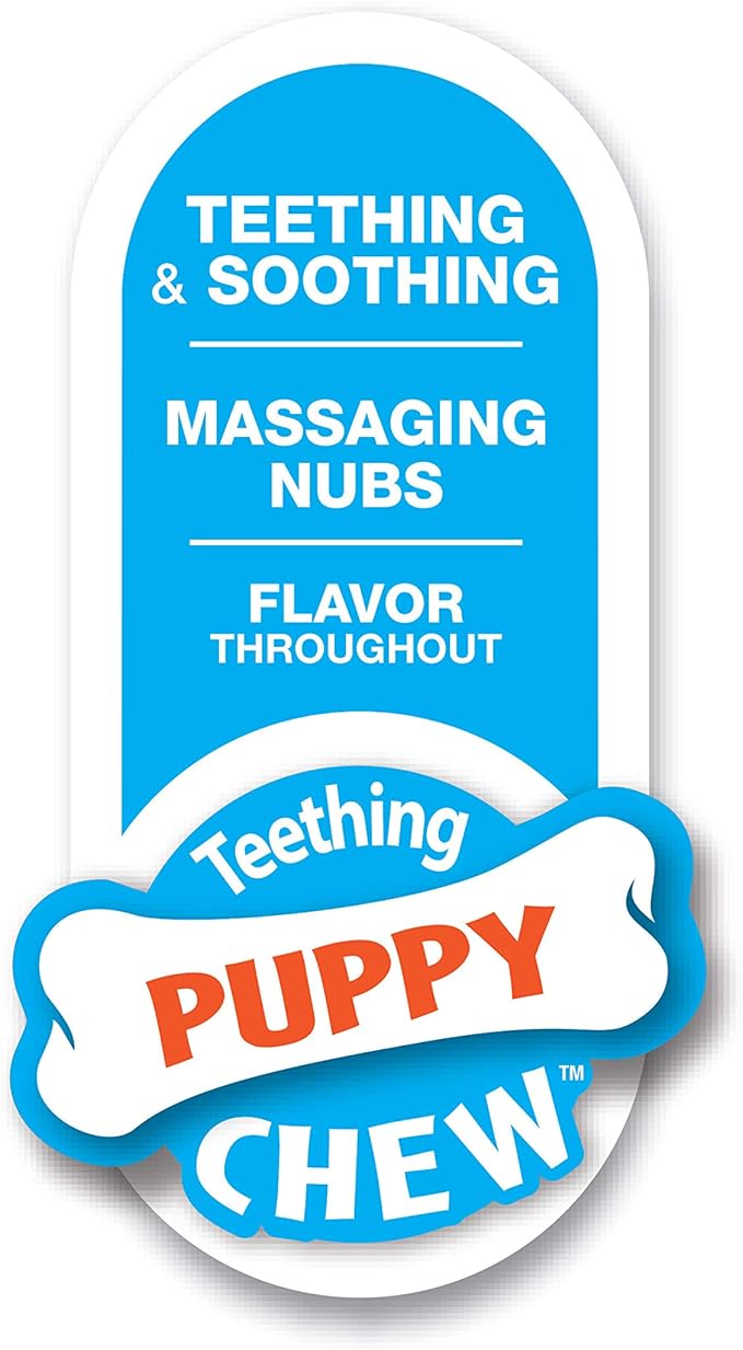 Nylabone Dental Dinosaur Puppy Chew Toy - Puppy Chew Toy for Teething - Puppy Supplies - Chicken Flavor, Small/Regular (1 Count)