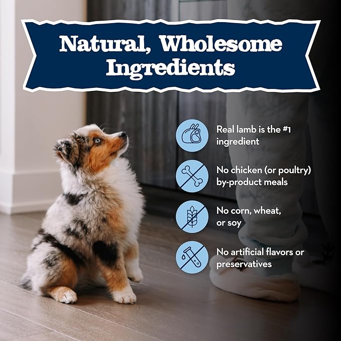 Blue Buffalo Baby BLUE Natural Puppy Wet Dog Food, Healthy Growth Formula with DHA, Lamb and Vegetable Recipe, 3.5-oz. Cups (12 Count)