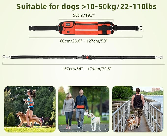 Pecute Hands Free Dog Leash with Pouch, Waist Belt Fanny Pack with Soft Pads, Dual Padded Handles, and Durable Bungee for Walking, Hiking, Jogging Biking, and Running (Up to 220lbs) Orange