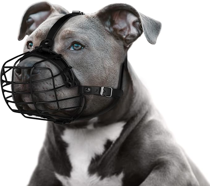 Pitbull Dog Muzzle Metal Mask Amstaff Secure Wire Basket Adjustable Durable Leather Straps for Large Dogs (Black)