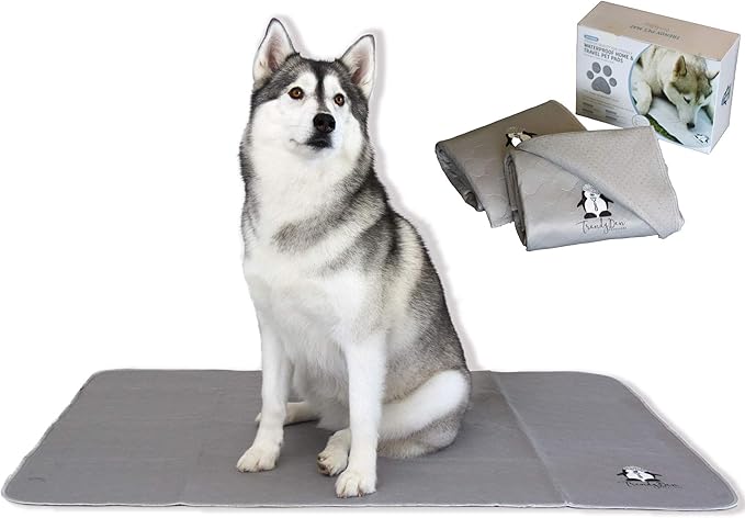 Puppy Pads by Trendy Den Creations - Dog Pee Pads - Puppy Essentials or Pet Supplies Puppy Pads Pet Training Pads - 36"X48" 2 Pack Anti-Slip Washable Pee Pads for Dogs - Dog Pads Extra Large - Potty