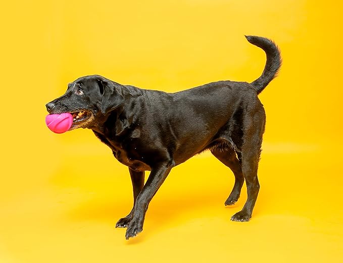 Hartz DuraPlay Bacon Scented Dog Toys, Large 1 Count