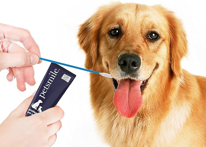 Petsmile Professional Pet Toothpaste Applicator Swabs - Easily Apply Toothpaste to Dogs & Cats Teeth - Teeth Cleaning Essentials - VOHC Approved Pet Supplies