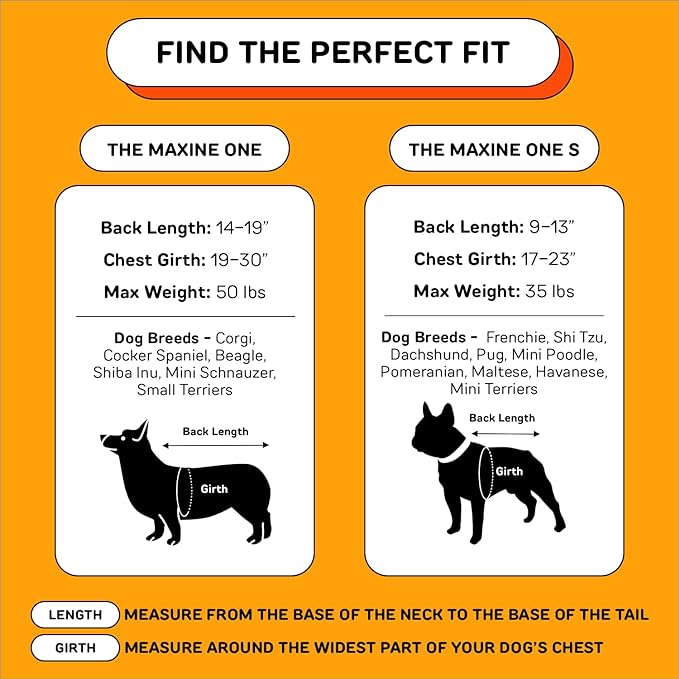 Maxine One Dog Backpack Carrier with Snacc Pacc Hip Belt by LITTLE CHONK | Adjustable Front Facing Bag for Travel or Hiking | Snack Storage | Made for Pets Up to 50 lbs | Medium, Bark After Dark Black