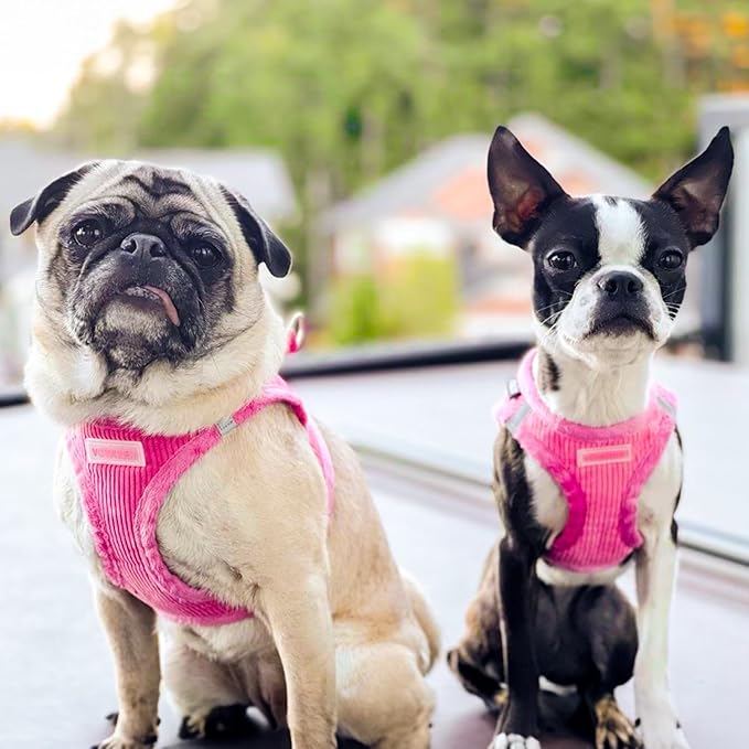 Voyager Step-in Plush Dog Harness – Soft Plush, Step in Vest Harness for Small and Medium Dogs by Best Pet Supplies - Harness (Fuchsia Corduroy), XS (Chest: 13-14.5")