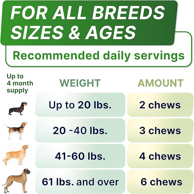 StrellaLab Dog Allergy Relief & Anti Itch Support Chews w/Omega 3: Real Ingredients, Real Taste! Skin & Coat Immune Supplement w/Fish Oil, Pumpkin & Enzymes — Developed by Experts - Made in USA -180Ct