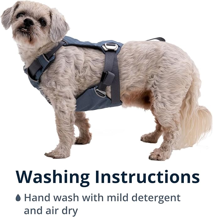 Ruffwear, Load Up Dog Harness, Strength-Rated Car Safety Harness with Universal Seat Belt Attachment, Slate Blue, Small
