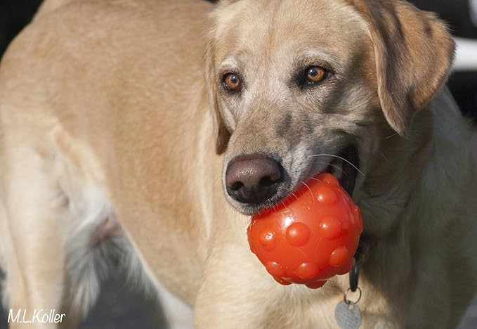 Jolly Pets Orange Jolly Jumper Ball Dog Toy 3 in