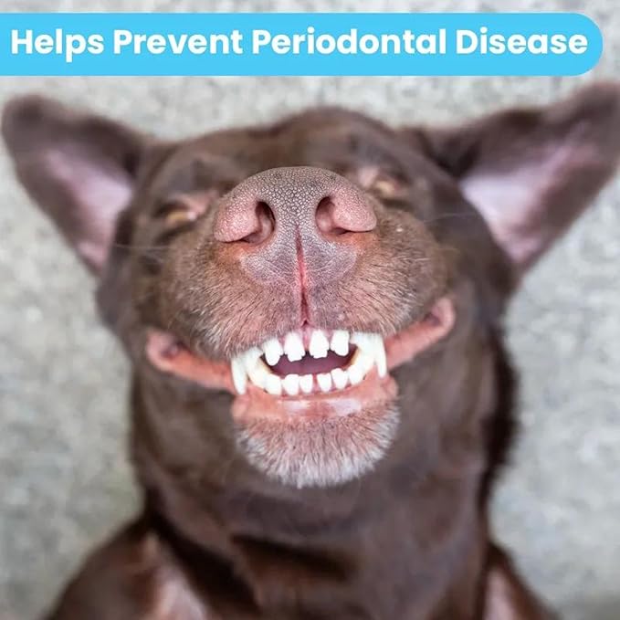 Pawtitas Natural Dog Toothpaste Powder Prevents Tartar Plaque Gum Disease Bad Breath a Natural Pet Dental Care and breath freshener for Dogs 4 OZ Bottle